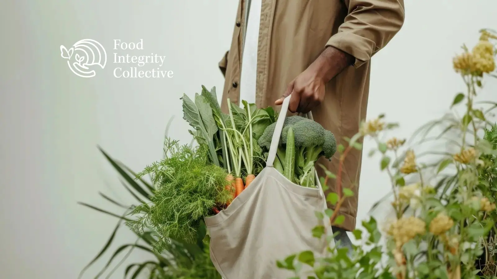 Hands holding a canvas tote with a diverse array of fresh vegetables inside